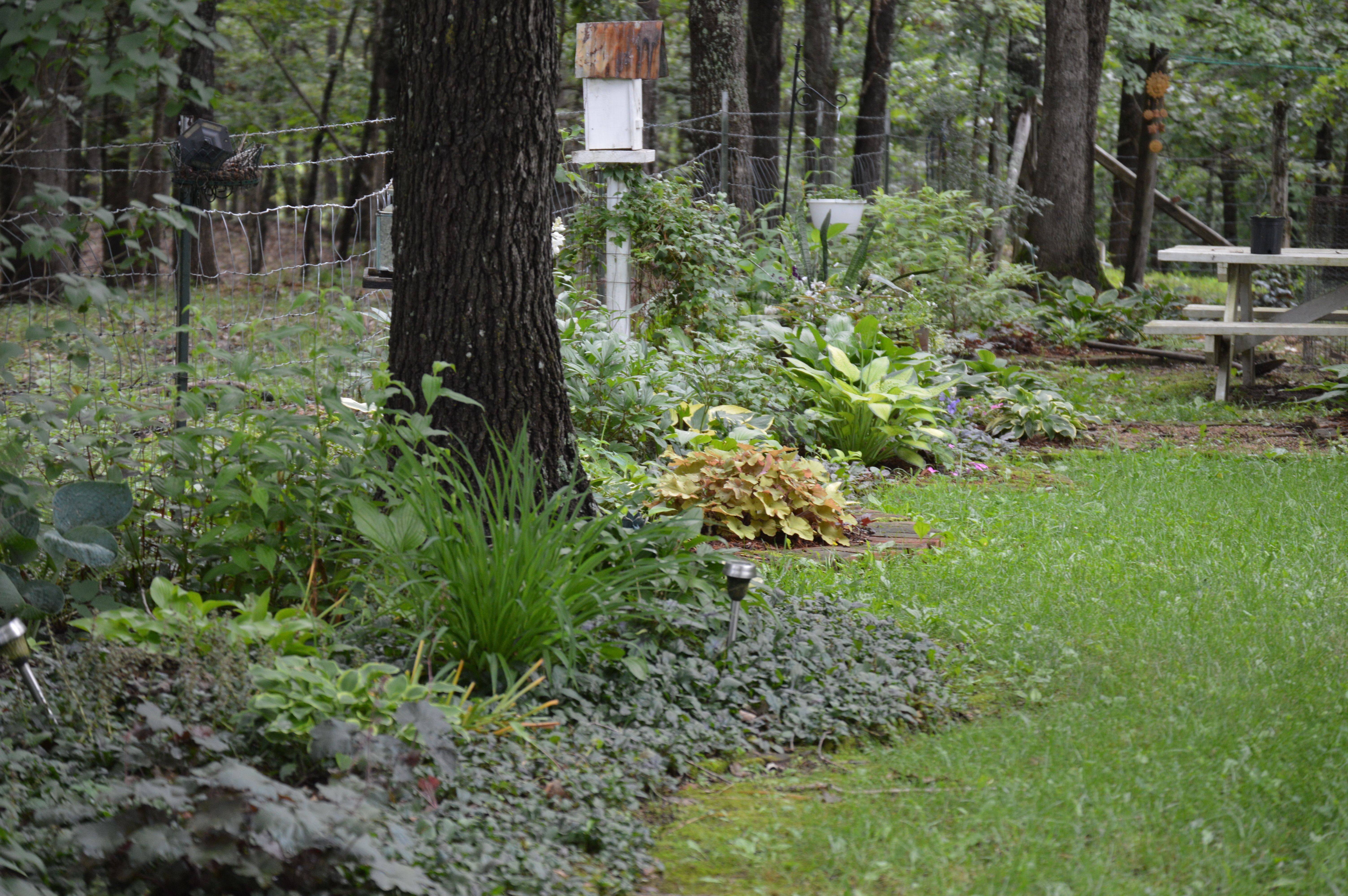 Garden Yard Ideas