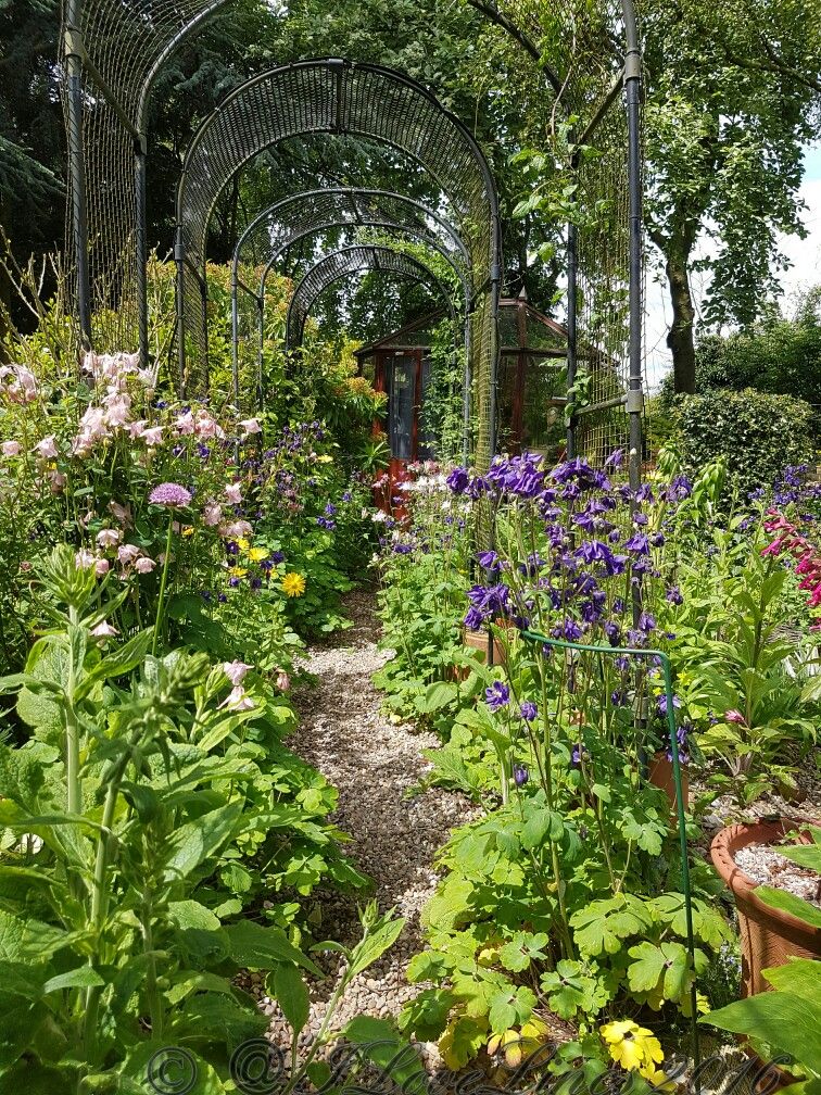 Top Shade Garden Design Ideas