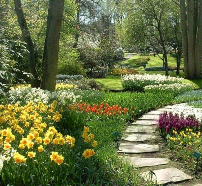 Our Woodland Garden Ideas
