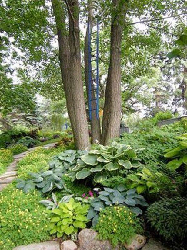 Beautiful Home Gardens