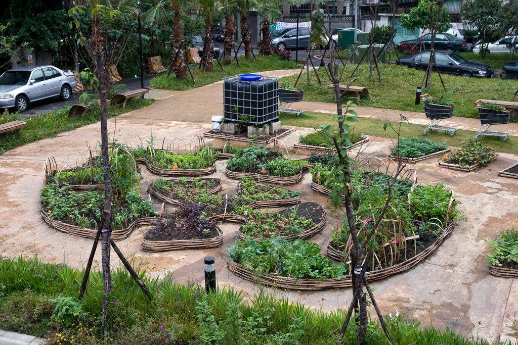 Stunning Permaculture Garden Design