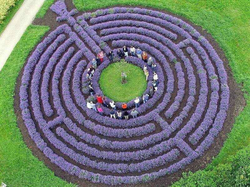 Amazing Mandala Garden Designs