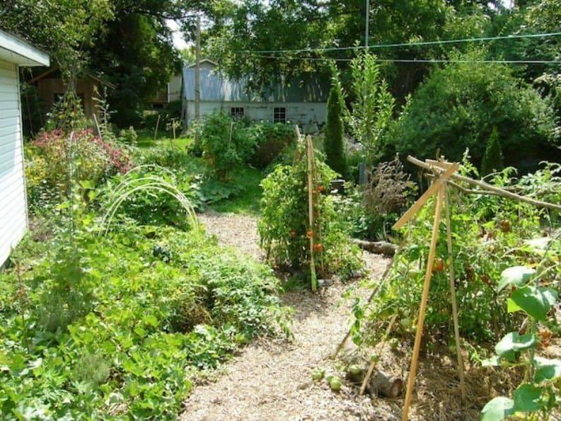 A Permaculture Garden