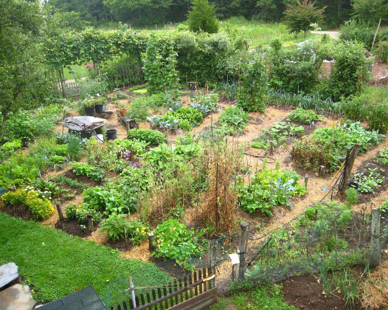 Food Forest Garden
