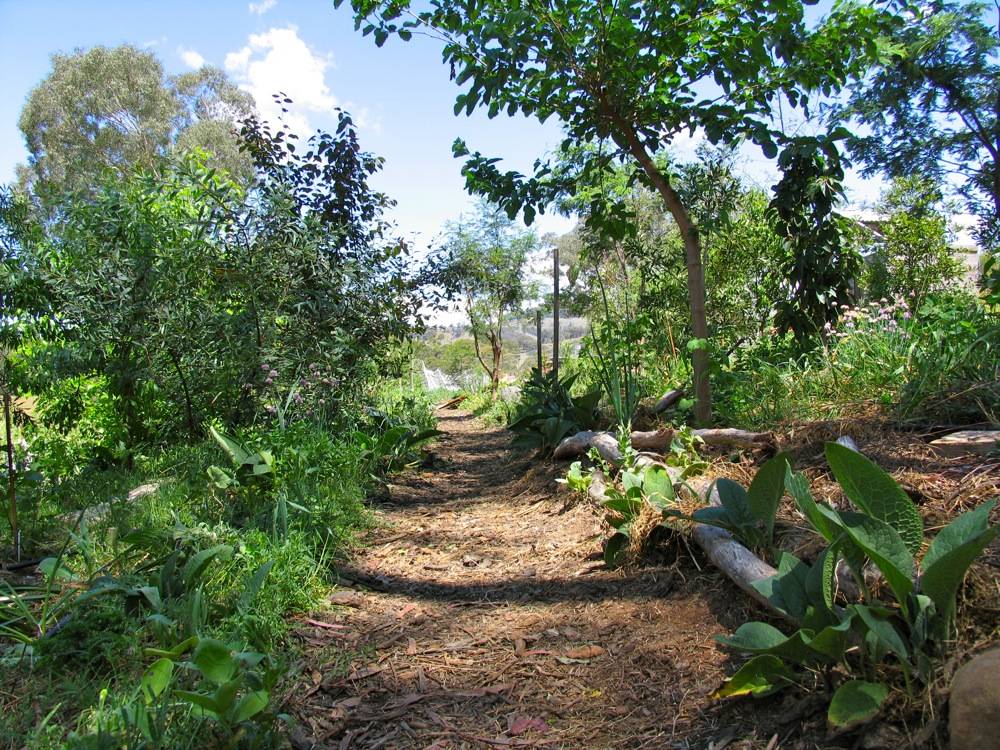 Permaculture Gardening