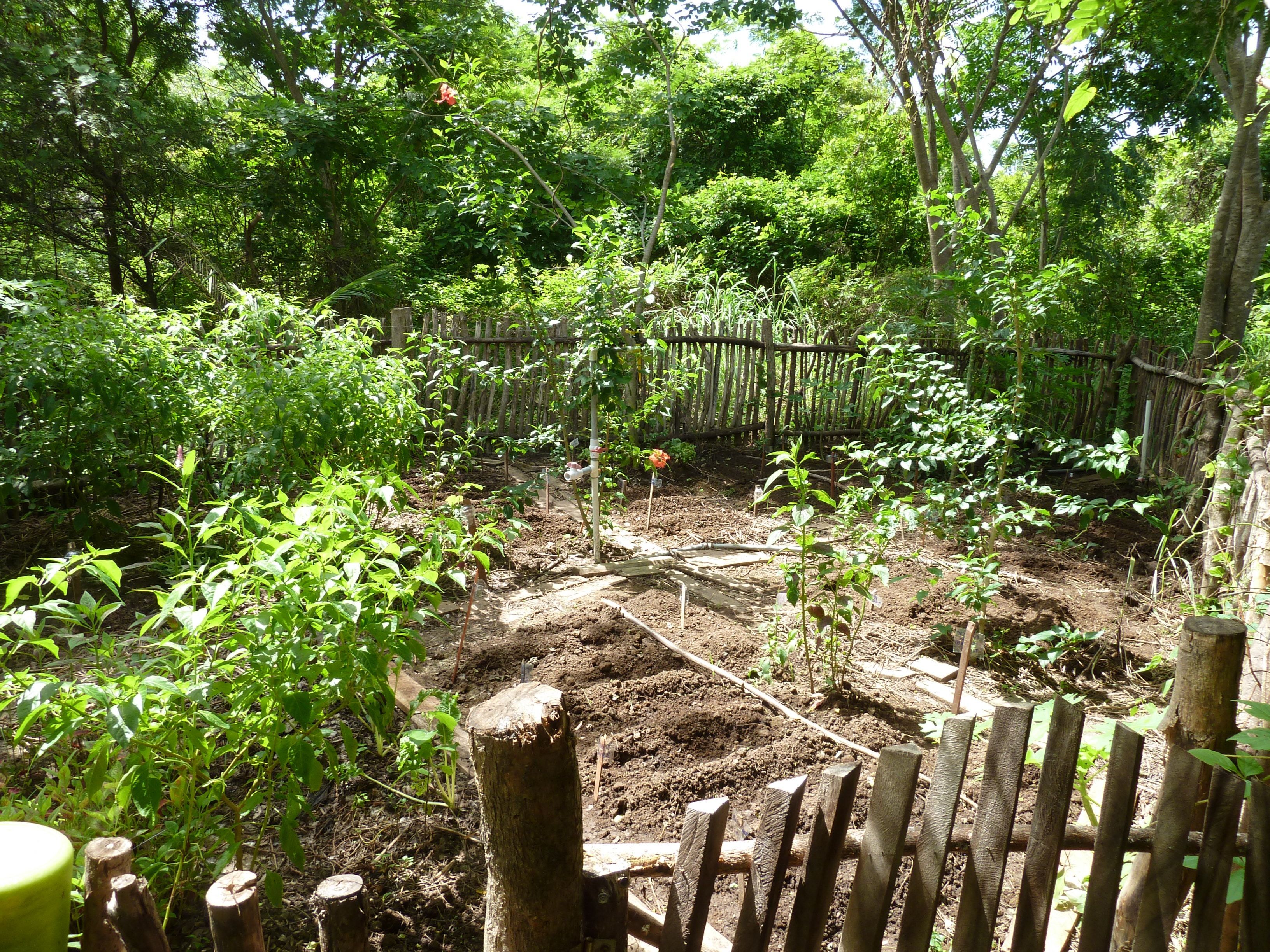 The Orchard Food Forest Garden