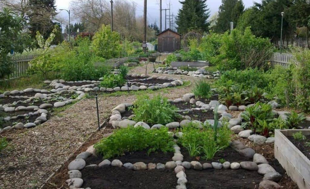 Permaculture Gardening Techniques