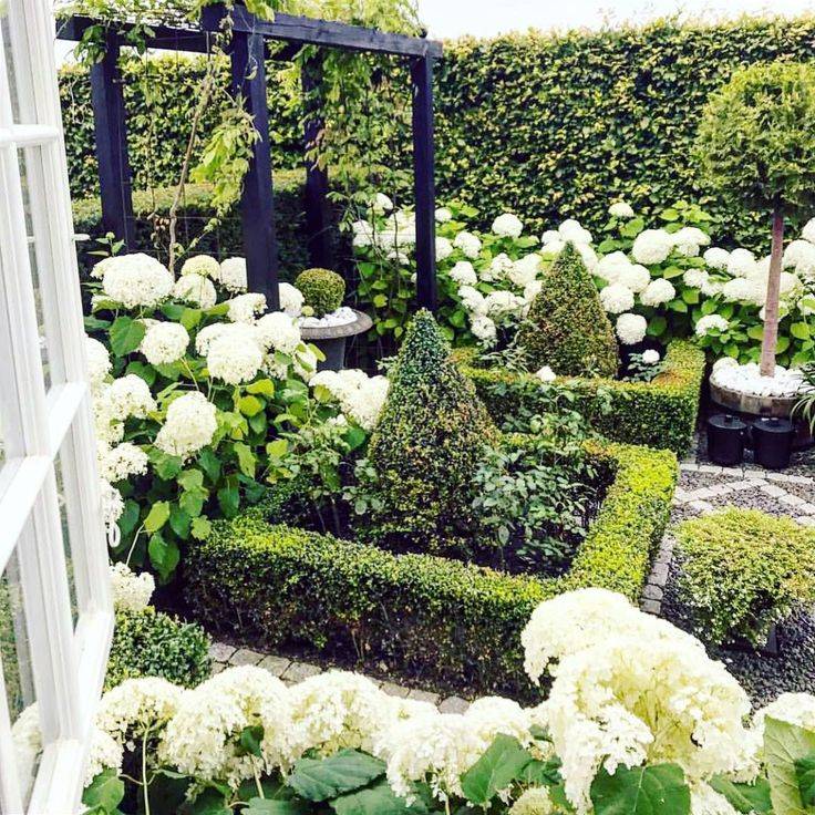 Container Gardening Shade