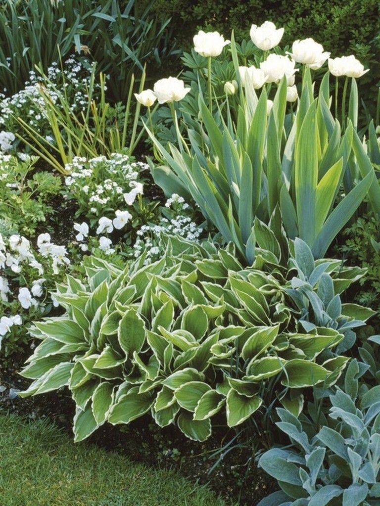 Awesome White Garden Ideas