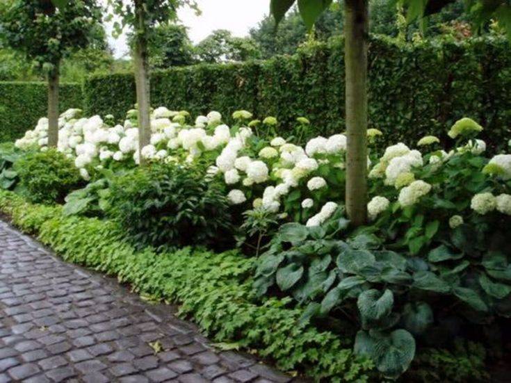 The White Garden