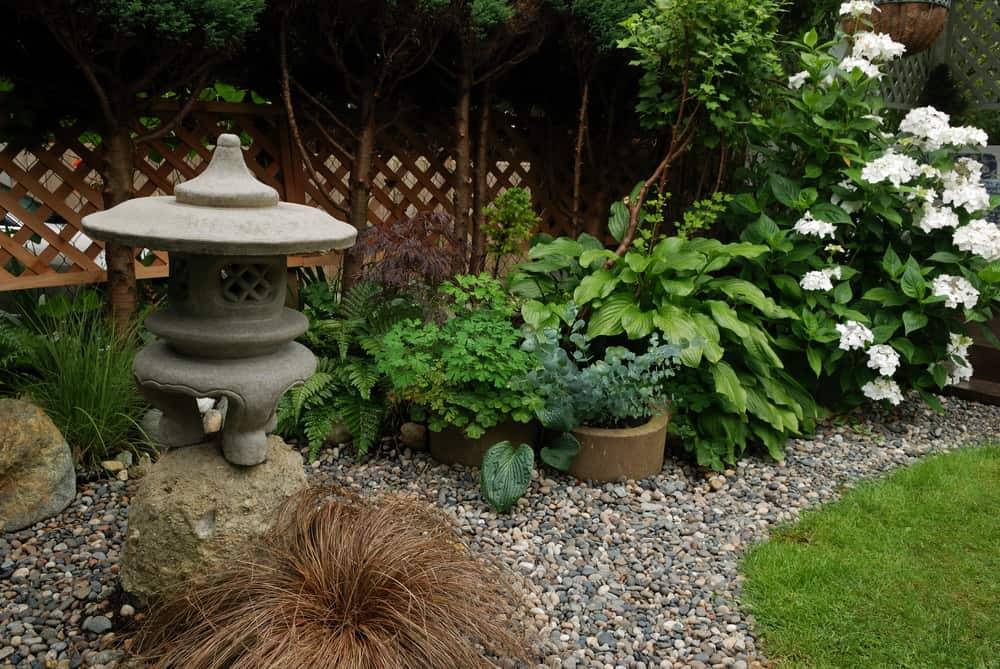 Shade Garden Design Ideas
