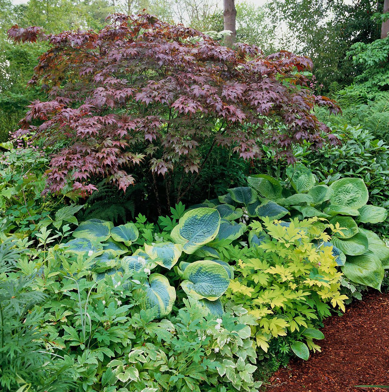 Gorgeous Side Yard Garden Design Ideas