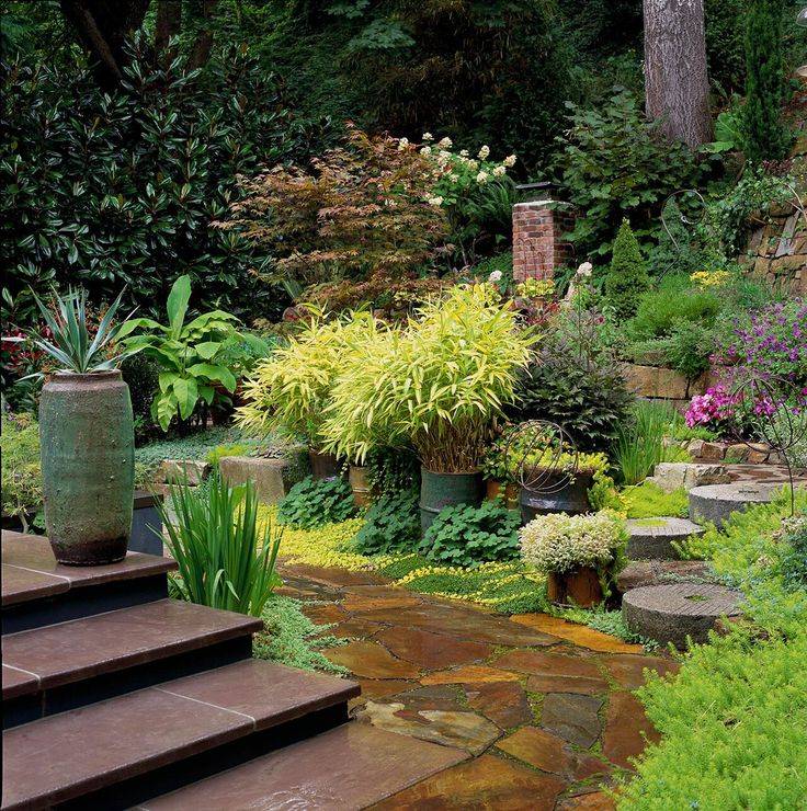 A Colorful Shade Garden Finegardening
