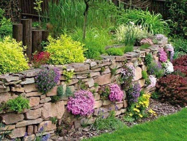 Landscape Ideas
