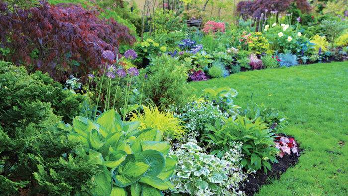 A Colorful Perennial Garden