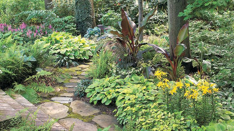 Pro Shade Garden Tips Design Ideas Floraexplorer