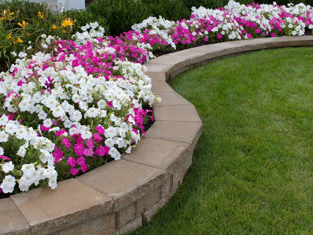 Easycare Flower Bed Ideas Sunset Magazine