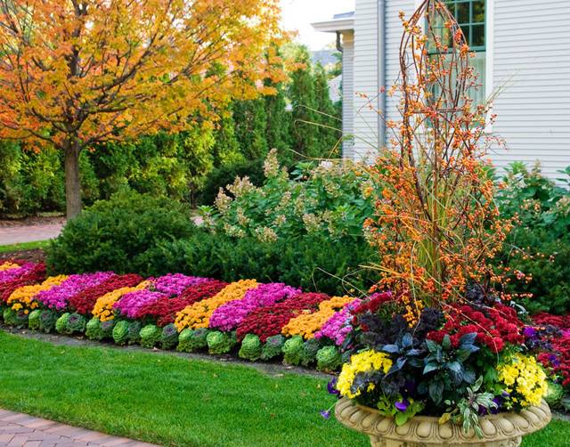 Front Yard Annual Flower Bed Designs