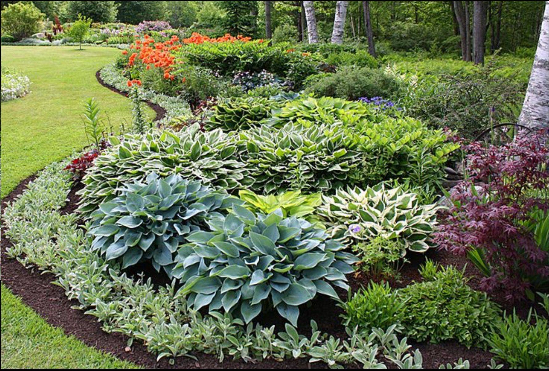 Hosta Garden Design Ideas