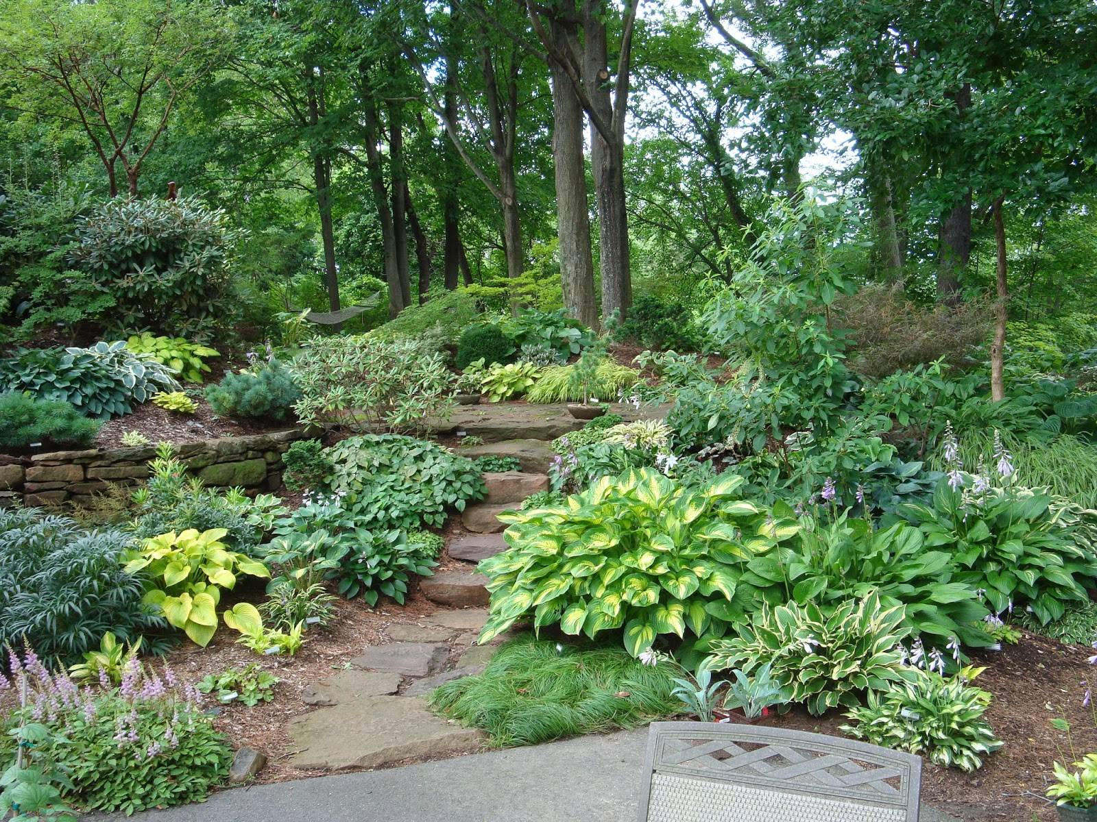 Hosta Shade Garden Front Yard Landscaping Design