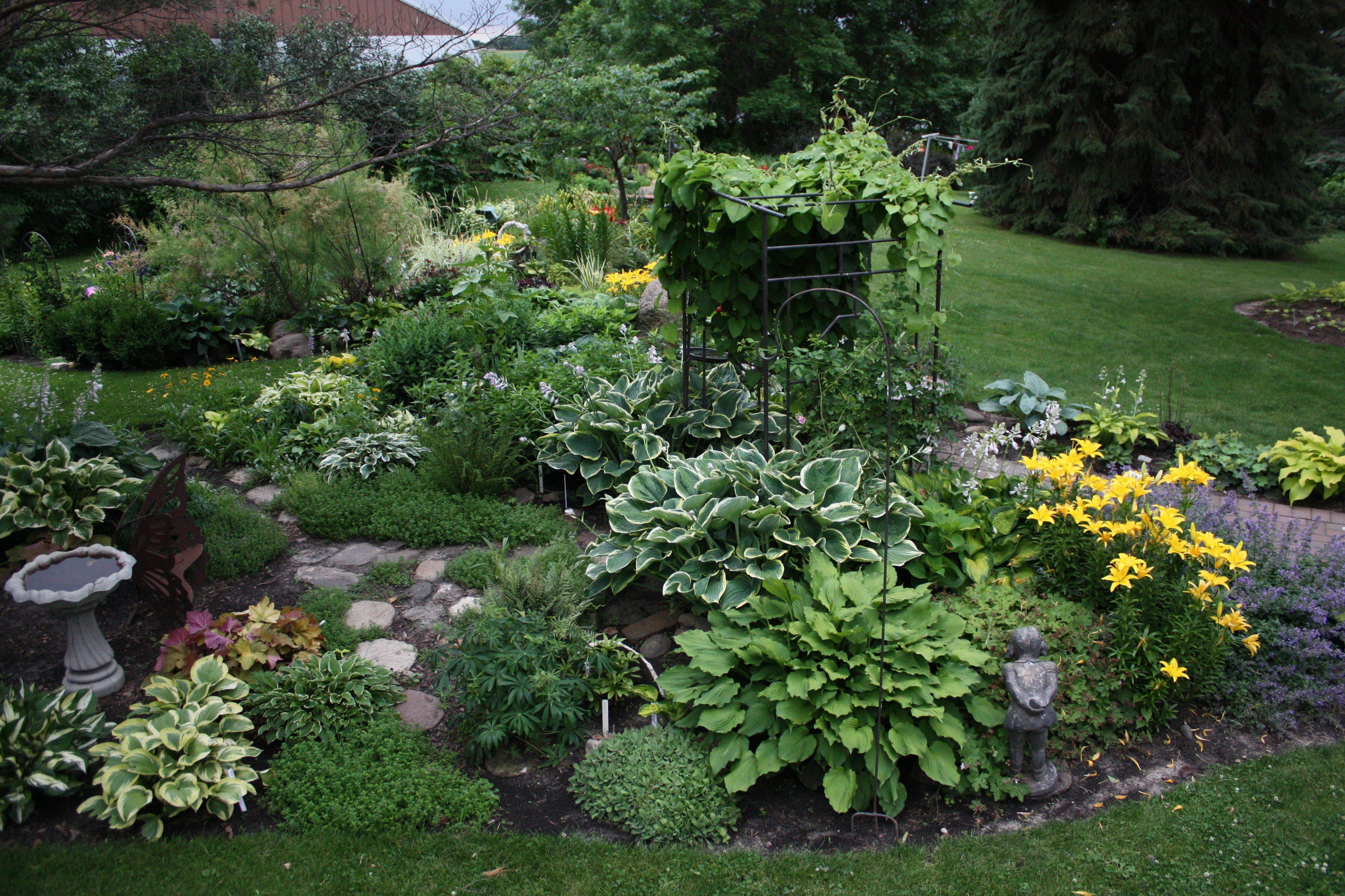 The Hosta Border Outdoorpatios Shade Garden Plants Backyard