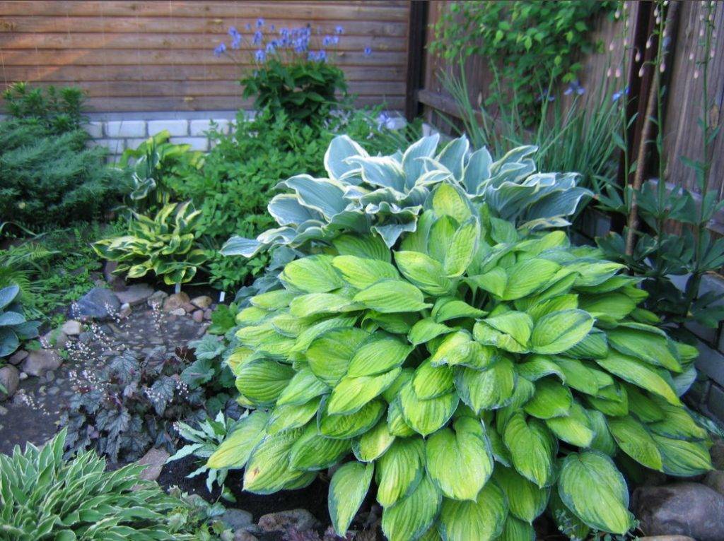 Gardenorg