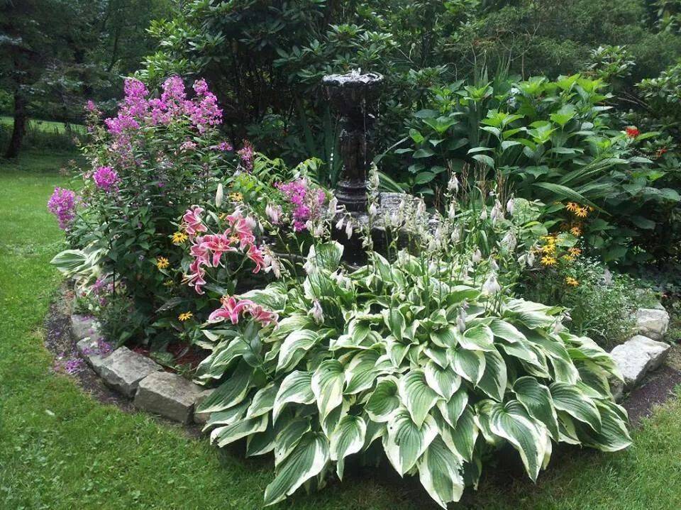 Hosta Gardens Favorite Perennials