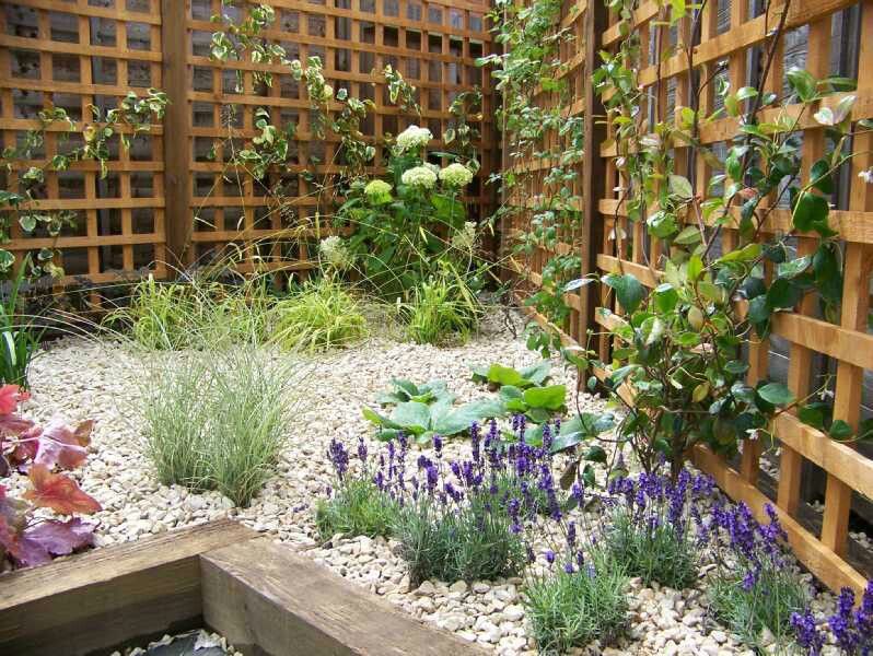 These 9 Shade-Tolerant Grasses Fill Bare Patches Without Needing Full Sun