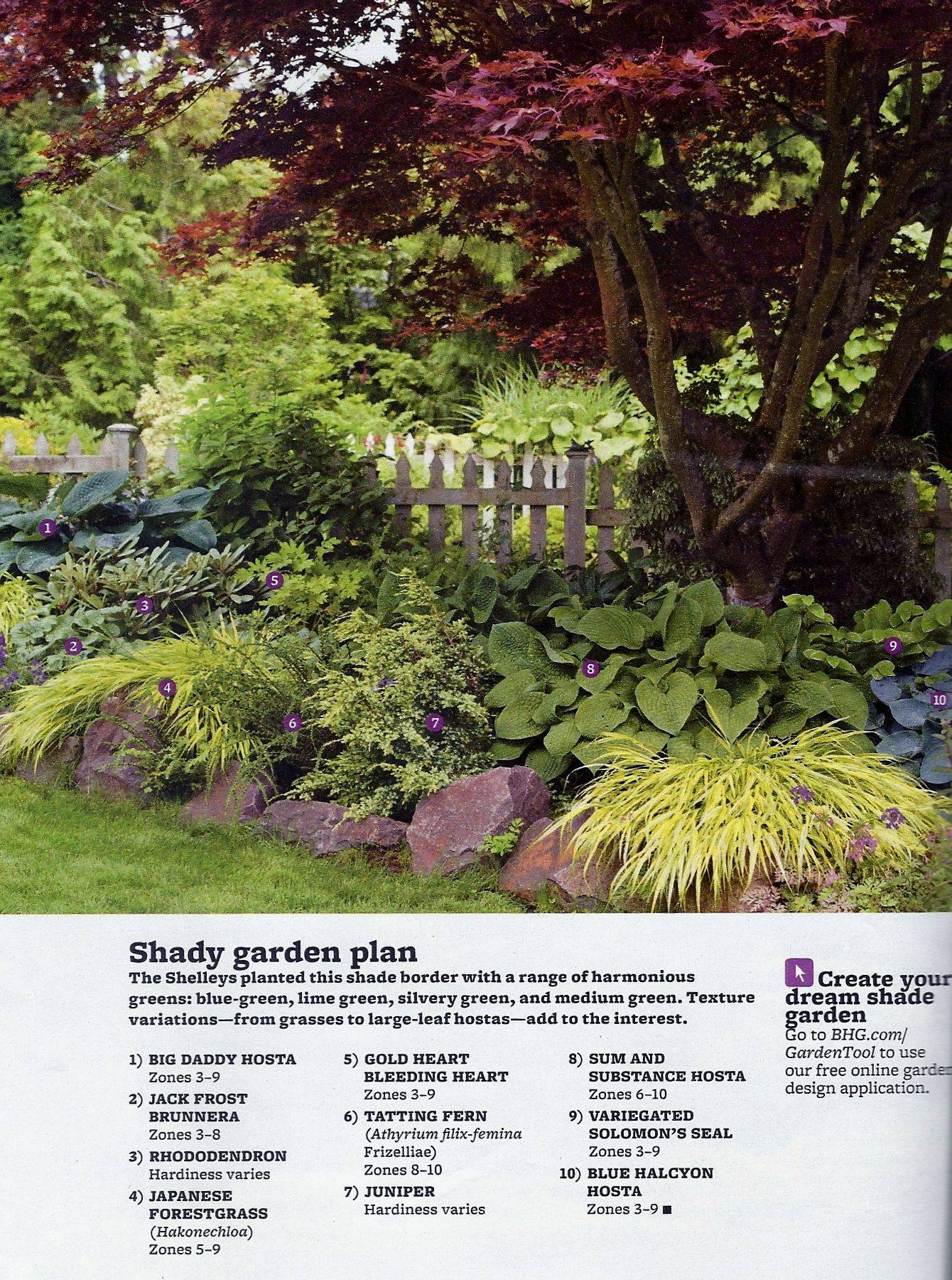 Small Woodland Garden Ideas