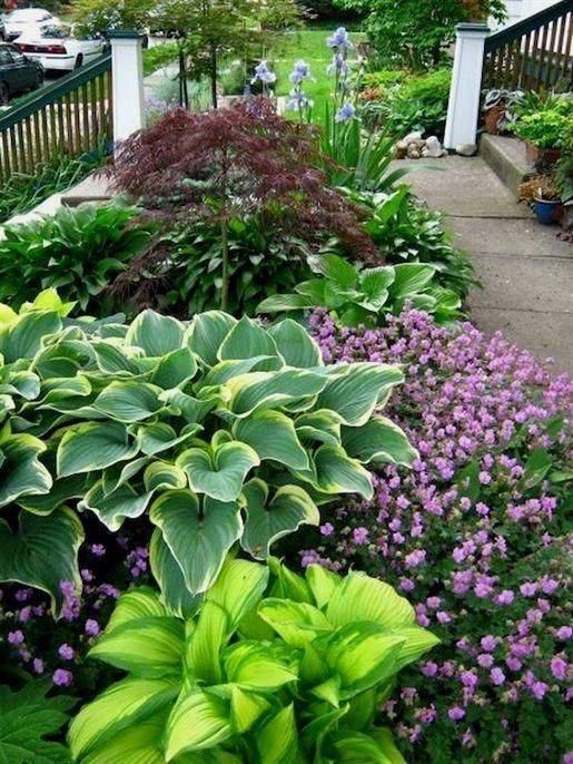 Shade Garden Ideas Zone