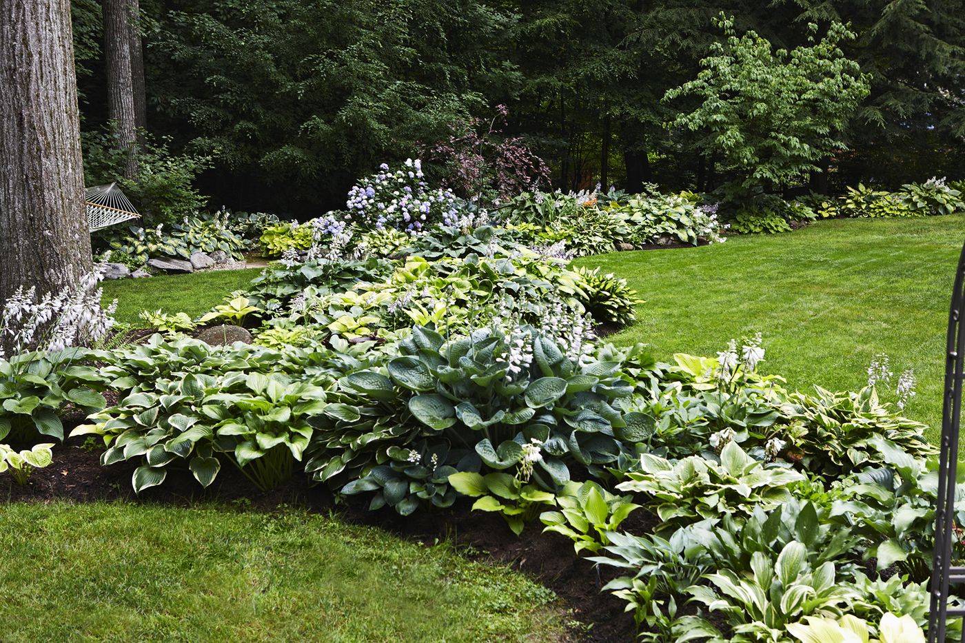 A Modern Less Rigid Parterreknot Garden