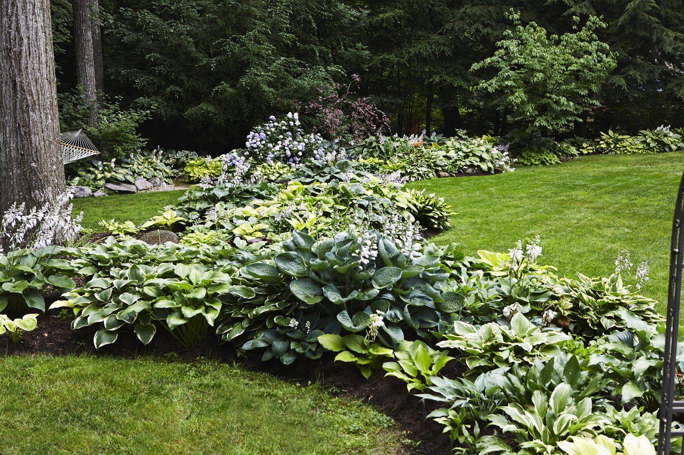 A Modern Less Rigid Parterreknot Garden