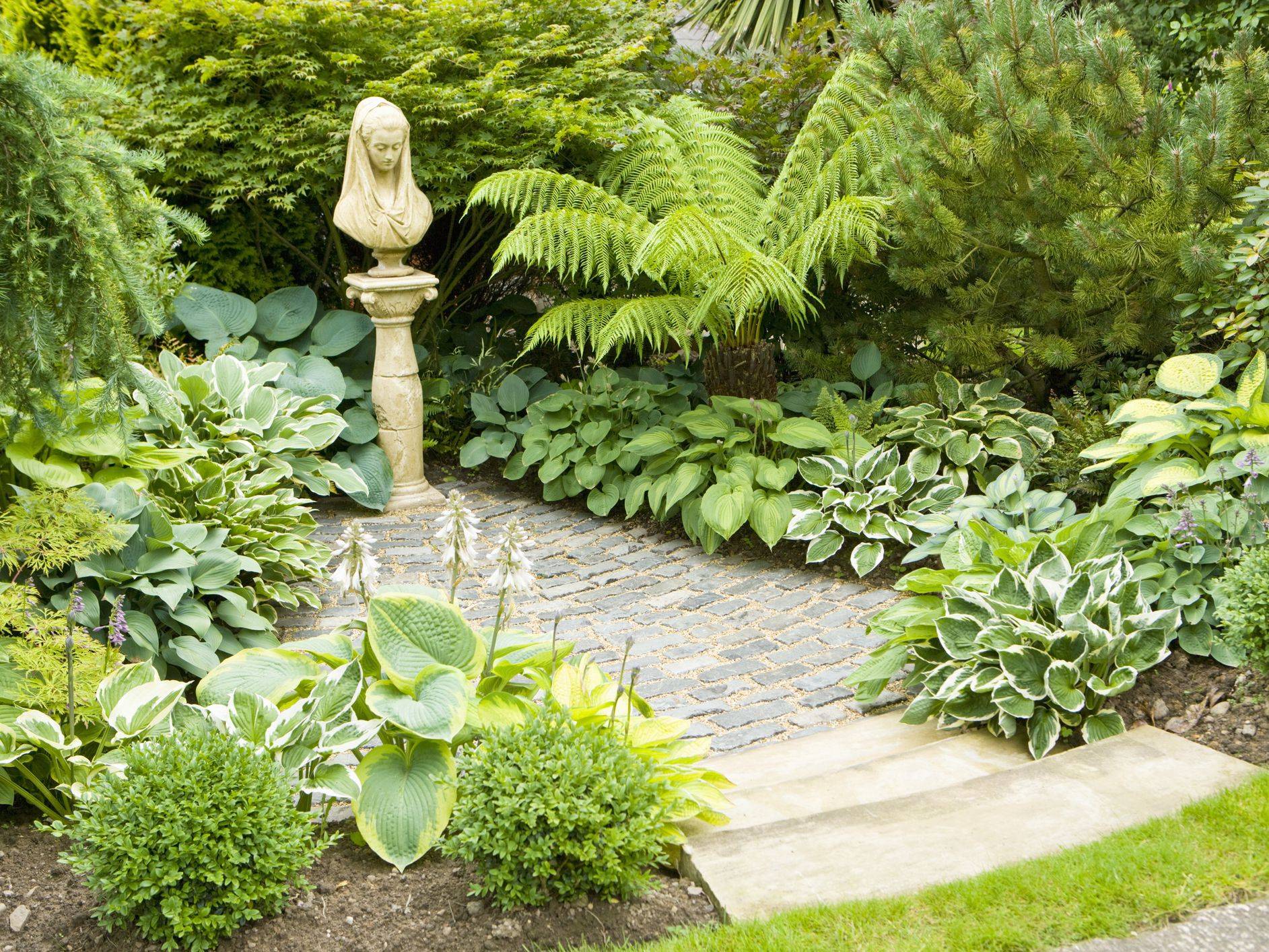 Garden Design Ideas