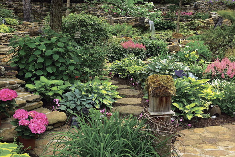 Shade Landscaping