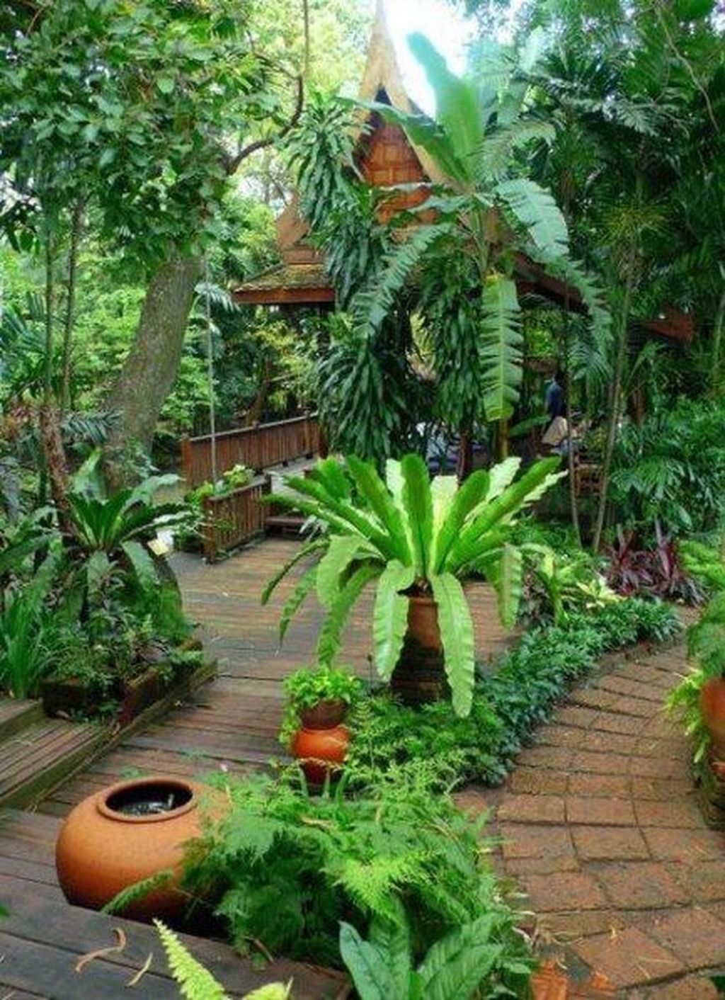 Lovely Tropical Garden Design Ideas Magzhouse