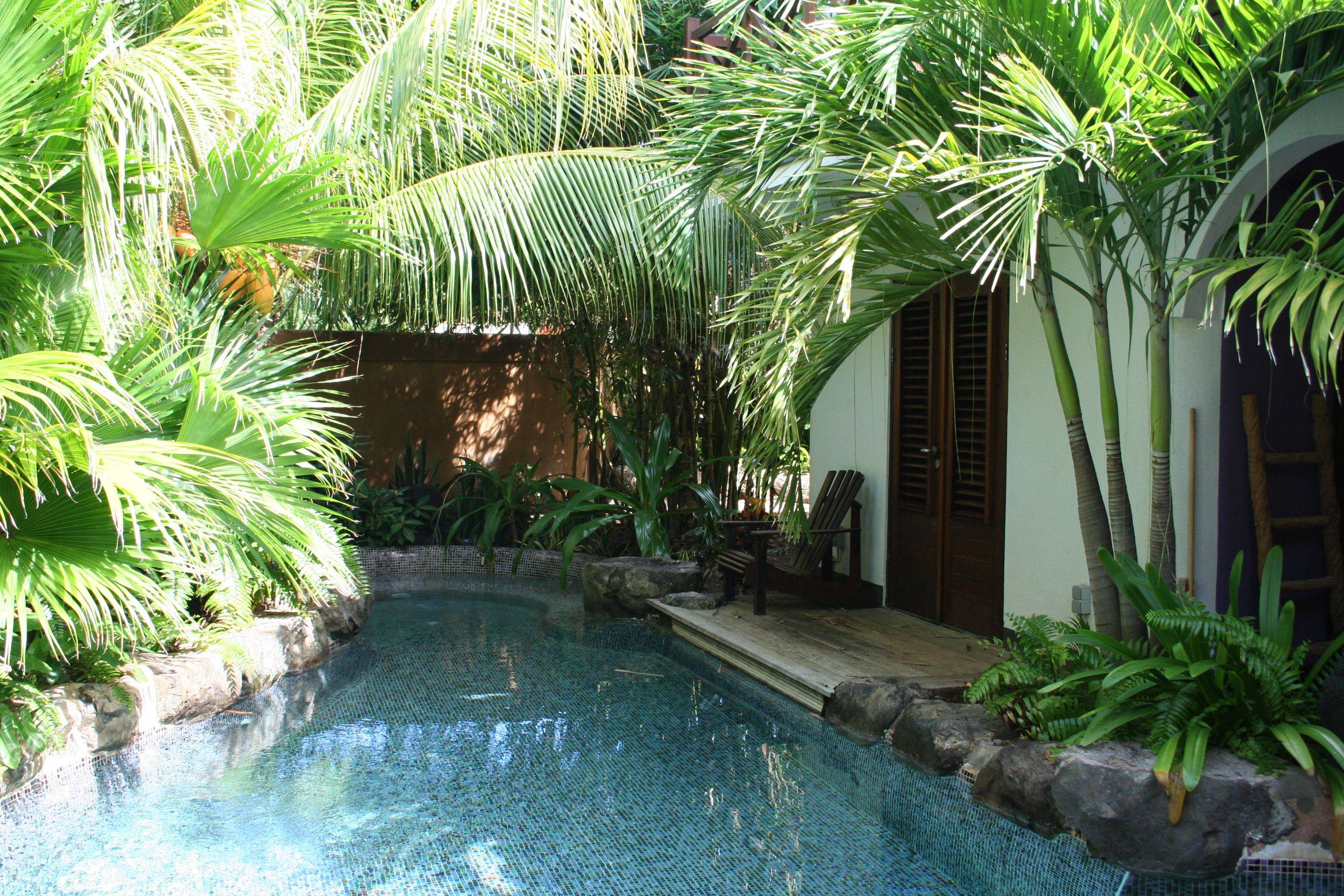 Surprising Tropical Pool Landscaping Design Ideas