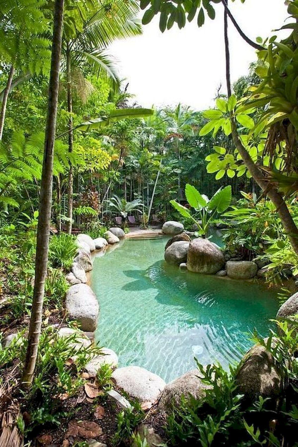 Tropical Landscaping Ideas