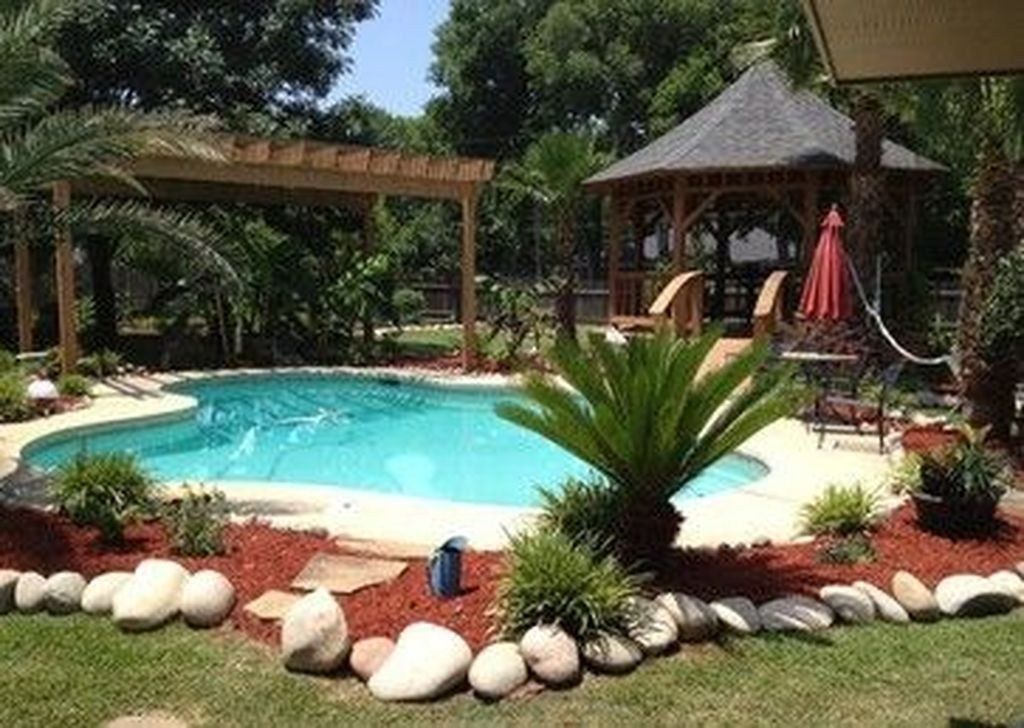 Tropical Paradise Backyard Pool Landscaping