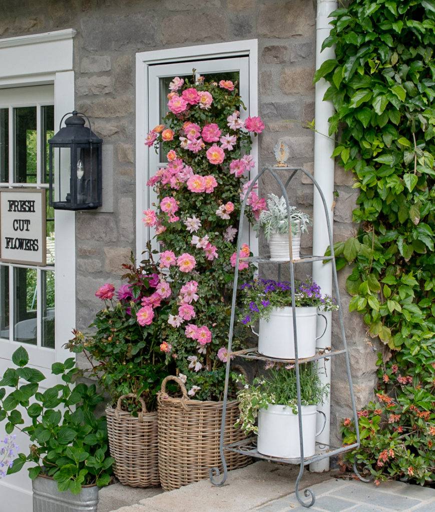 Creative And Trendy Container Garden Ideas Youll Love To Follow