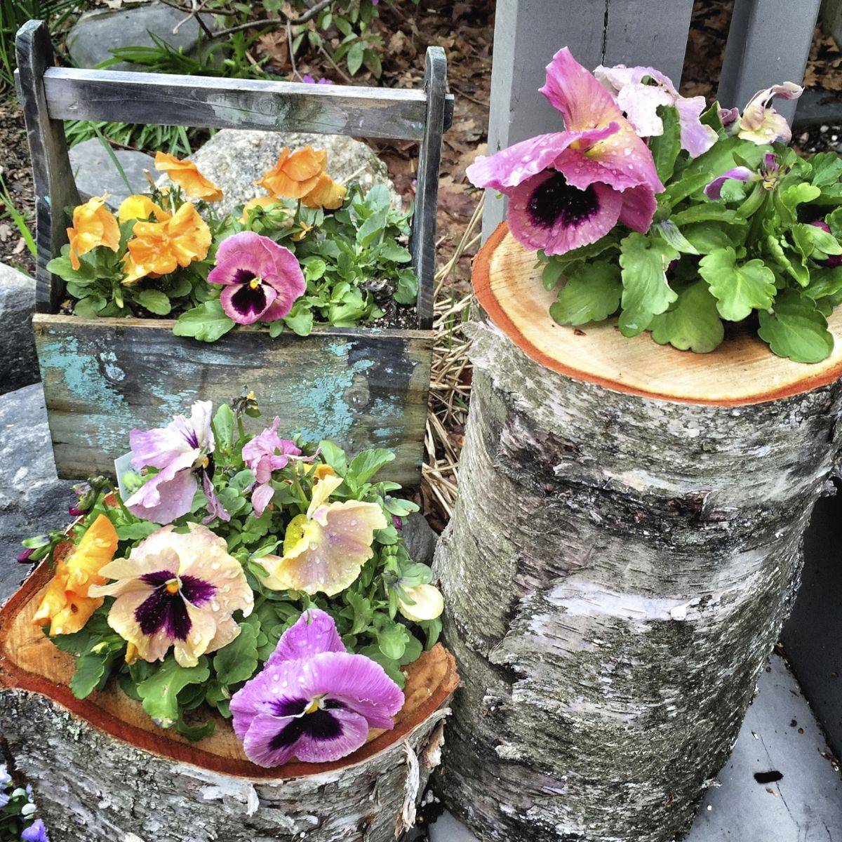Best Creative Garden Container Ideas