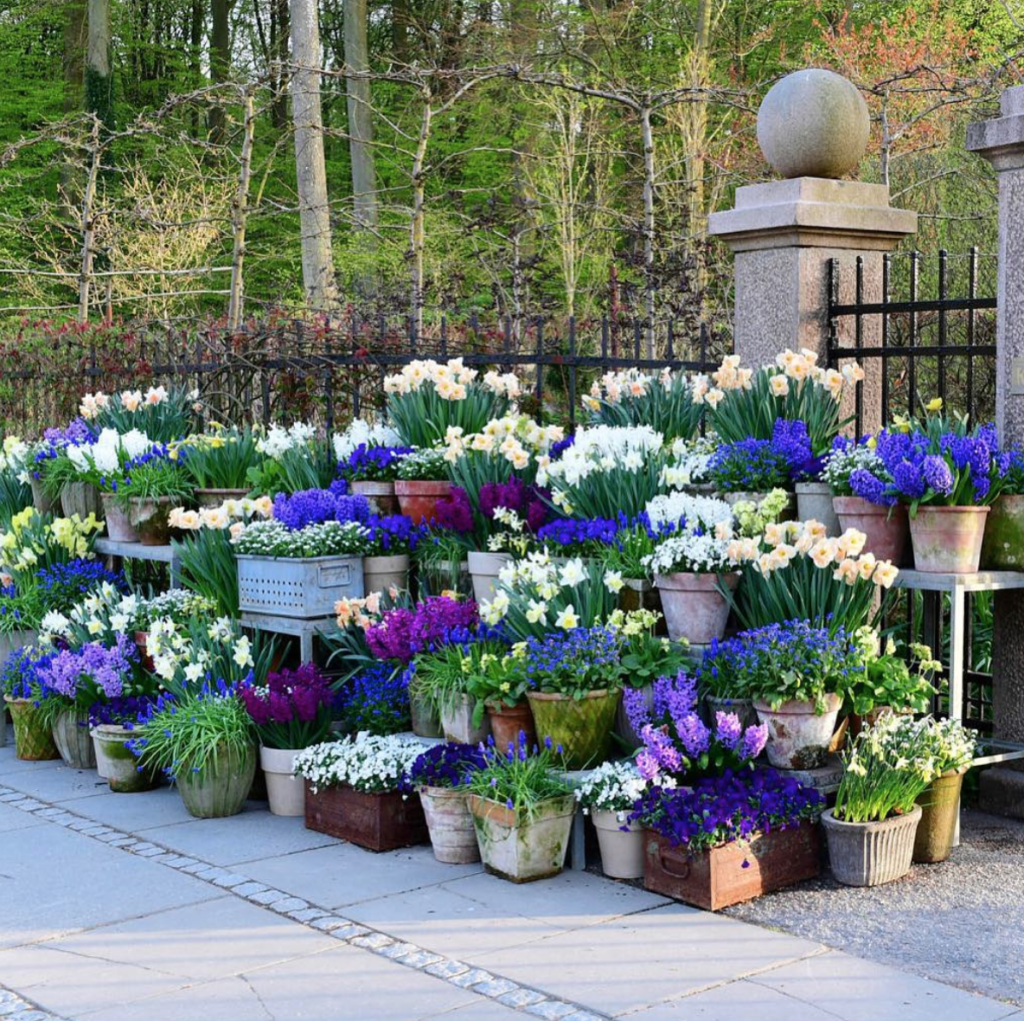 Unique Container Gardening Ideas Modern Glam