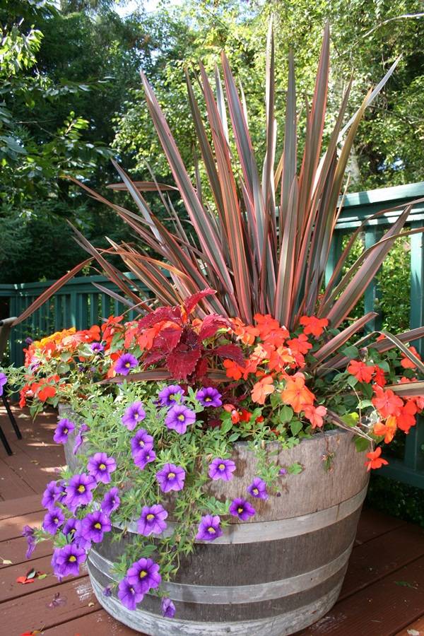 Garden Planting Sanctuary Home Decor