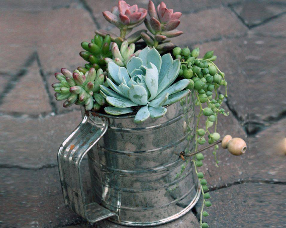 Planting Areas Succulent Pot Unique Decorative Resin Pot Indoor Plant