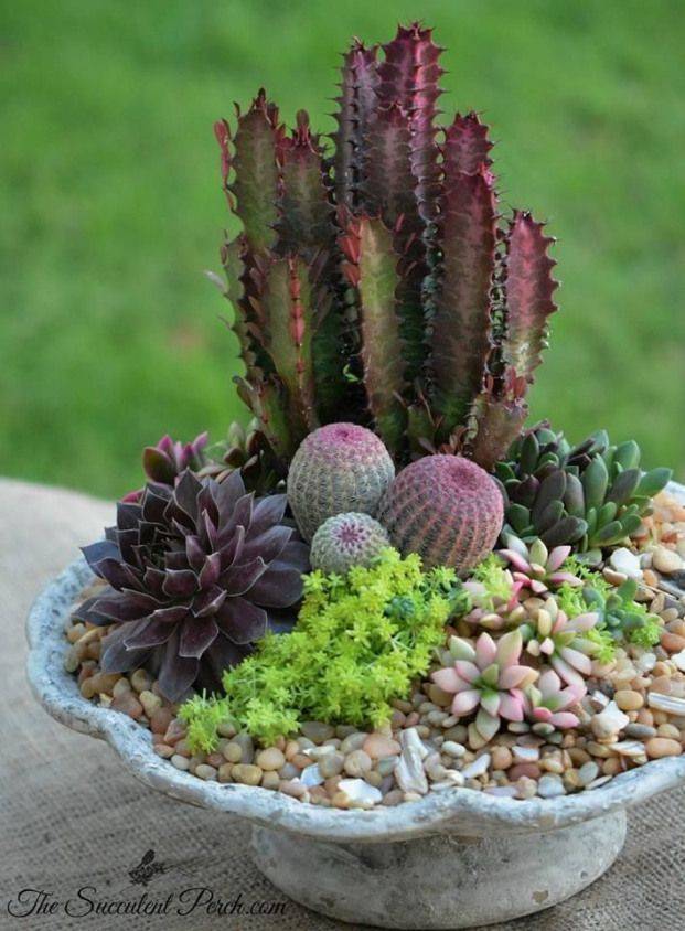 Unique And Beautiful Container Garden Ideas You Need To Have