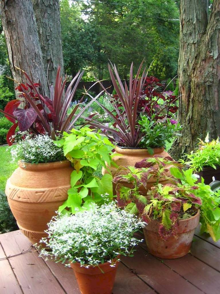 Lovely Combination Planting Container Gardening Ideas Homyhomee