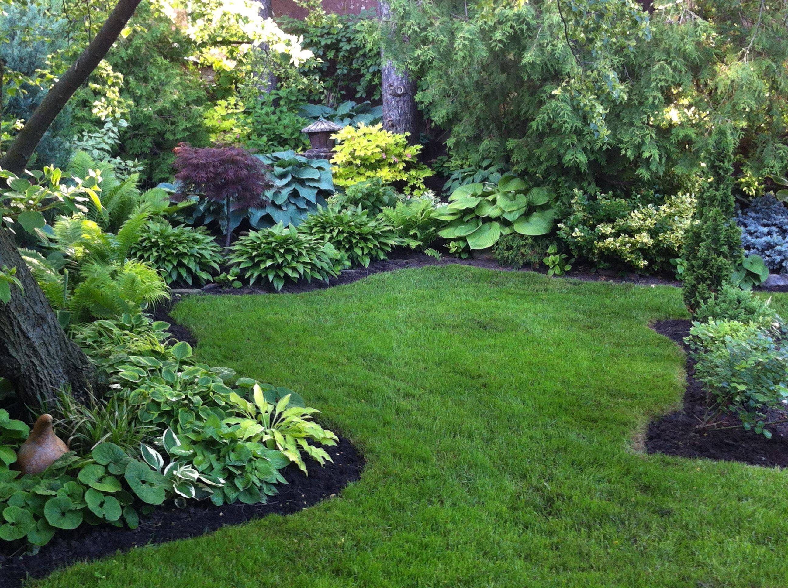 Hosta Shade Garden Front Yard Landscaping Design