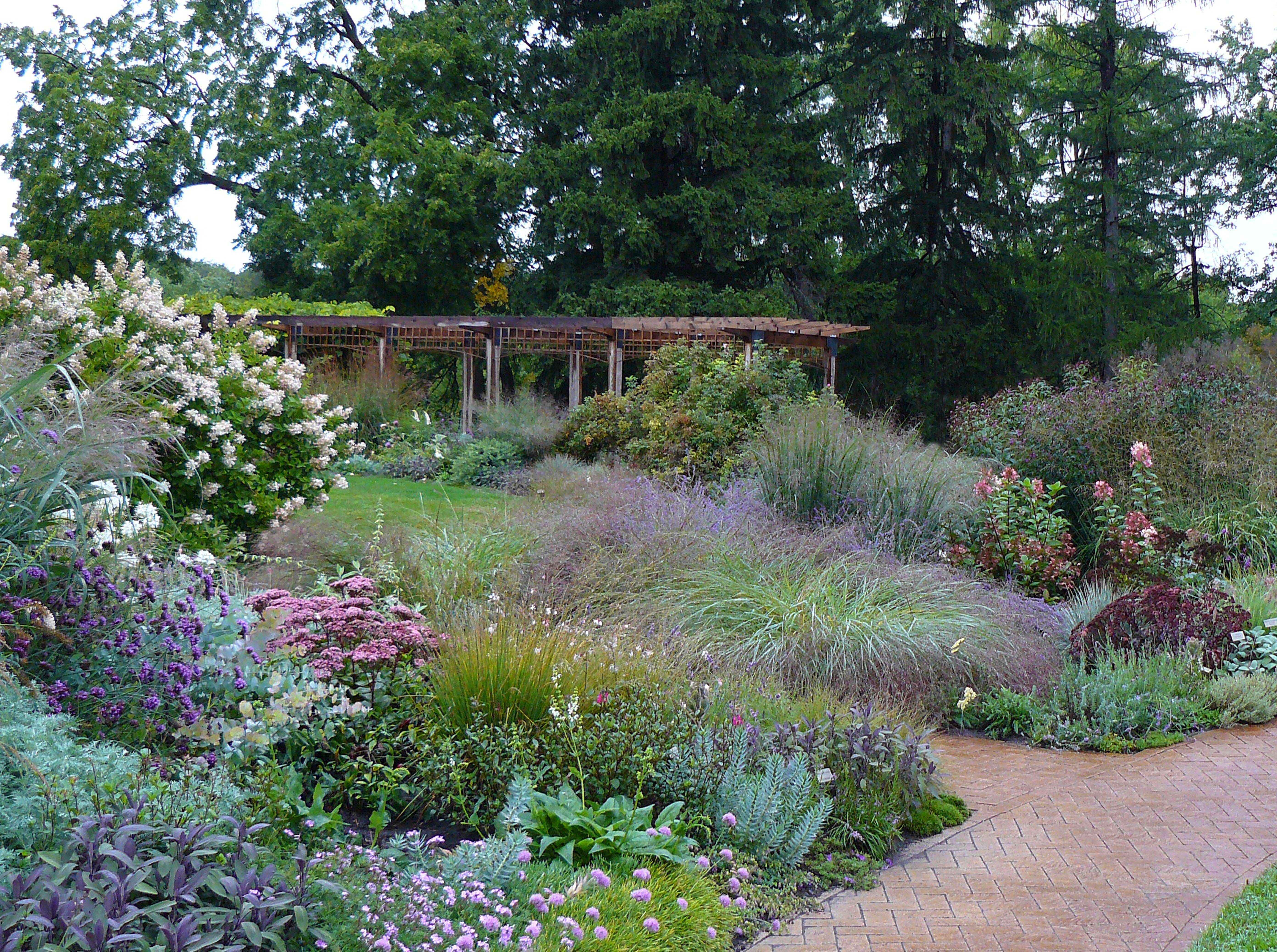 A Minnesota Shade Garden