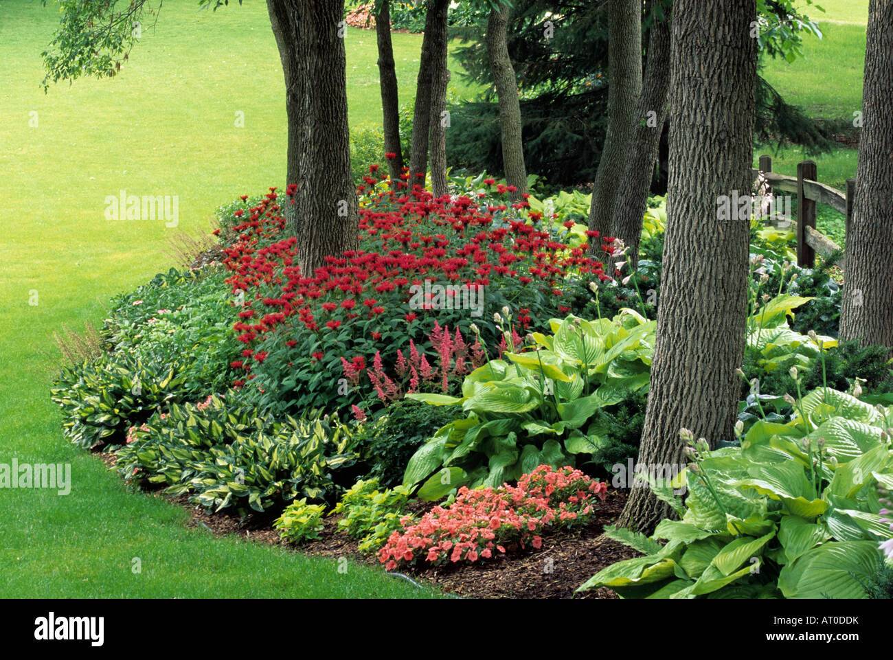 A Minnesota Shade Garden
