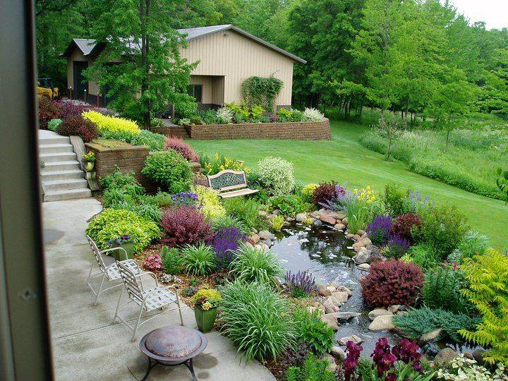 Mn Shade Garden Google Search