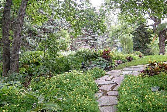 Minnesota Garden